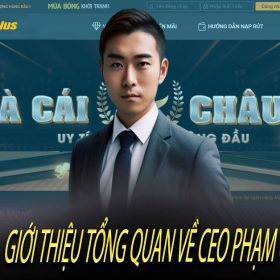 Giới thiệu tổng quan về CEO Phạm Quang Sáng